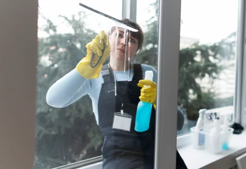 Nettoyage de vitres intérieures et extérieures à Palluau-sur-Indre